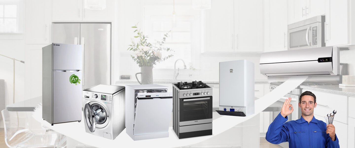 Başmakçı Silverline Servisi